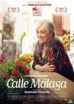 Calle Malaga