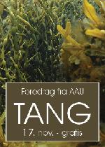 Foredrag: Tang