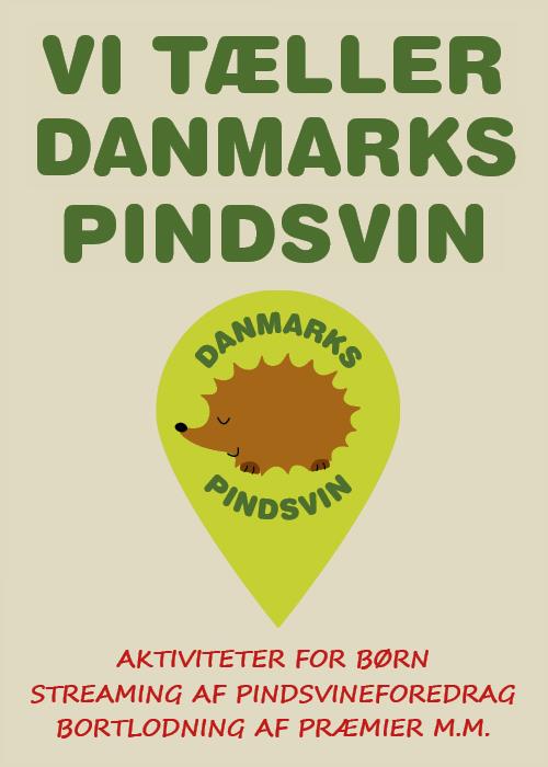 Vi Tæller Danmarks Pindsvin
