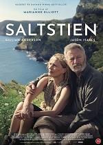 Saltstien